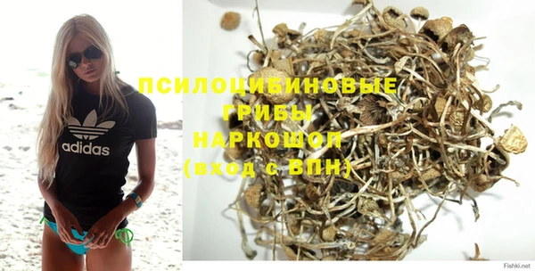 круглые Корсаков
