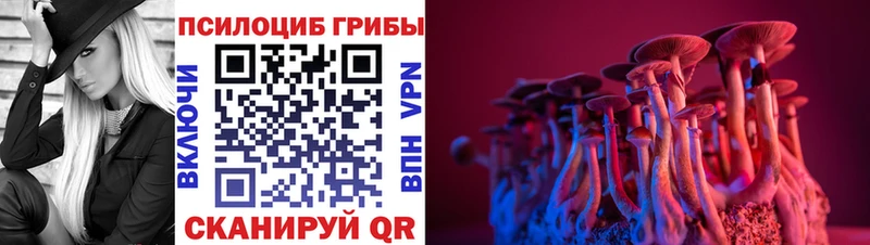 Купить  Вязьма  Псилоцибиновые грибы Magic Shrooms 